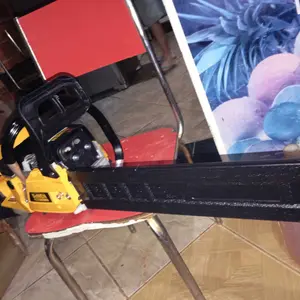 Foto do usuário 1