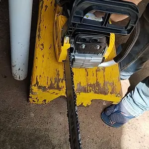Foto do usuário 3